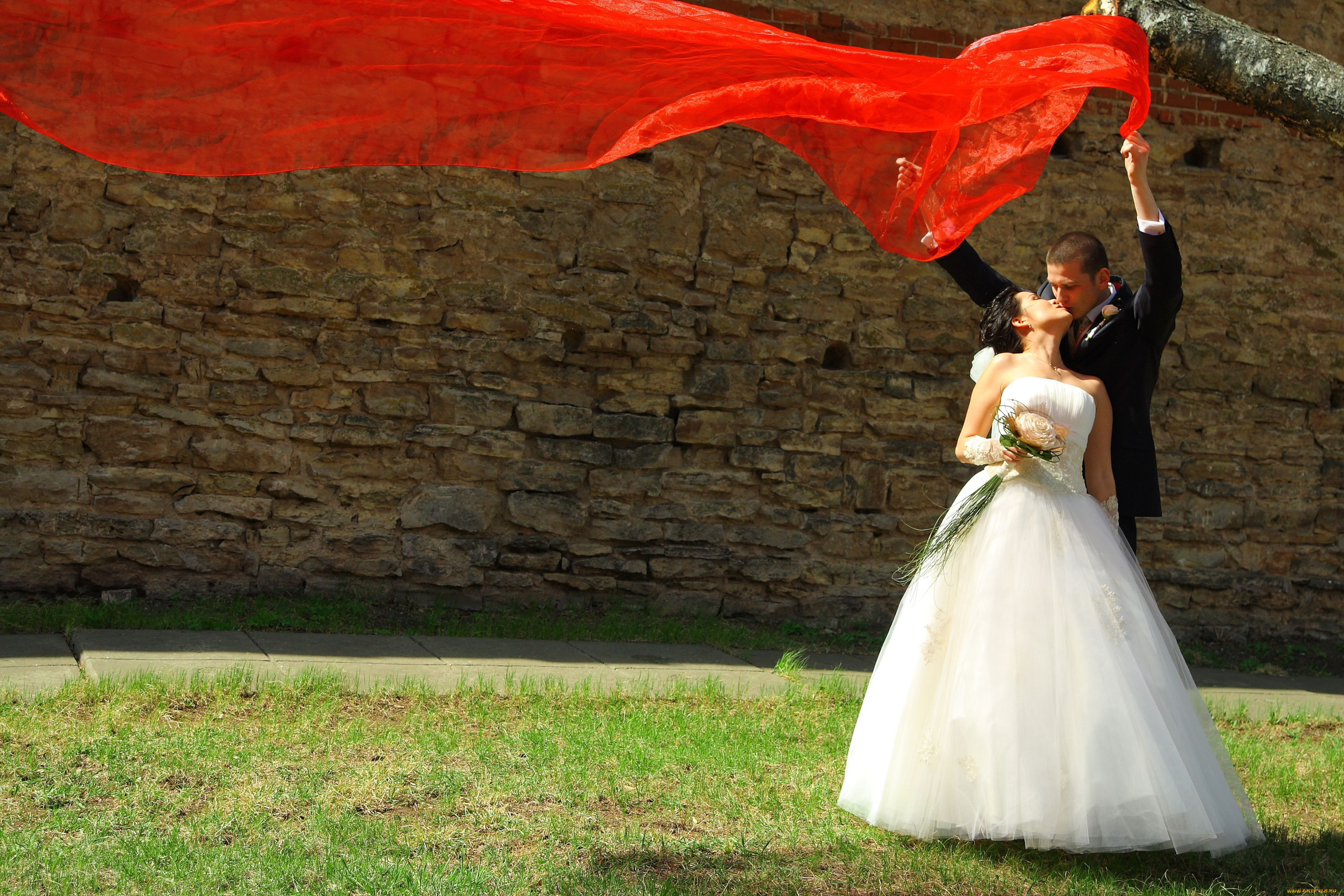 Bride pic. Свадьба красивые фото. Свадьба невеста. Фотографии невест. Красивые жених и невеста.